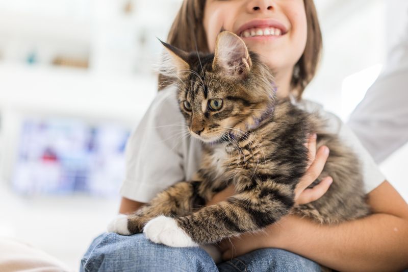 Niños y gatos