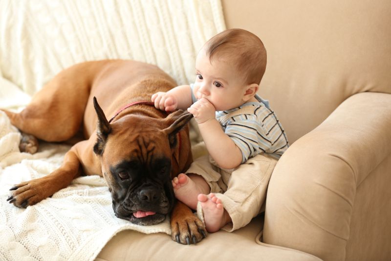 Niños y perros