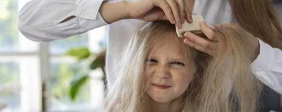 ¿Liendres o caspa? ¿Cómo reconocer y eliminar un problema molesto en el cabello de los niños?
